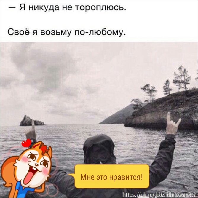 Это вы поторопились картинки